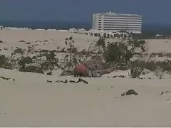 Después de peliculas poeno en español un montón de ver la cara en la cara perra